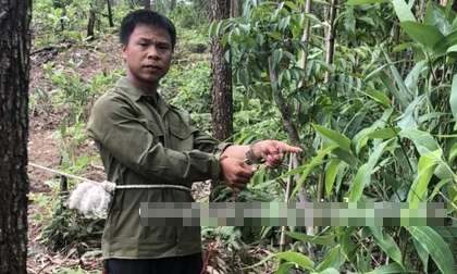 'Lạc lối' bên tình trẻ, người vợ cùng tình nhân sát hại chồng dã man