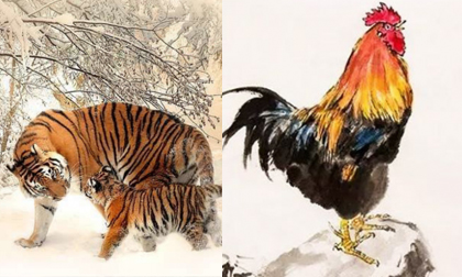 Tử vi ngày 1/8/2020 của 12 con giáp: Dần tình duyên khởi sắc, Dậu tiền bạc rủng rỉnh