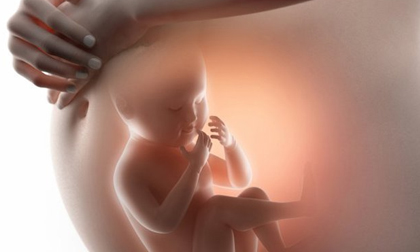 4 thực phẩm vàng giúp mẹ bầu phòng ngừa dị tật thai nhi từ trong trứng nước