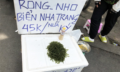 Thực phẩm 'nhà giàu' tràn ra vỉa hè với giá rẻ bèo