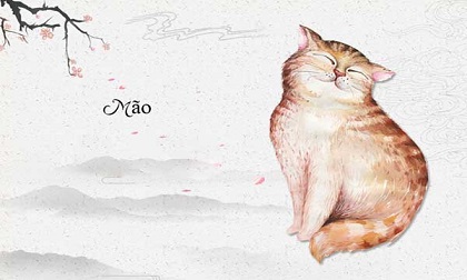 Tử vi 45 ngày tới: 3 con giáp 'chuột sa chĩnh vàng' làm gì cũng được phù trợ, thành công rực rỡ