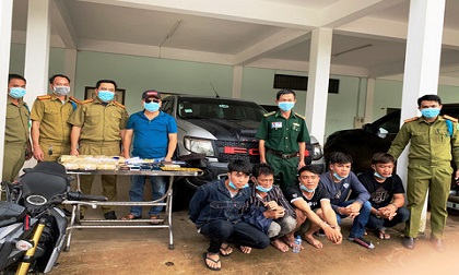 Bắt 5 người nước ngoài vận chuyển 60.000 viên ma túy quá biên giới