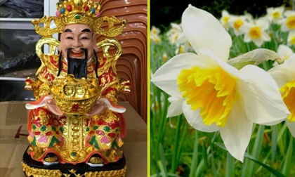 Buổi sáng âm thầm đặt 3 loại hoa này lên bàn thờ Thần Tài, gia chủ ngồi rung đùi đếm tiền mỏi tay