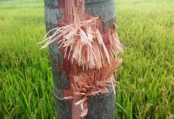 Tử vong sau tiếng nổ ở đống rác: Nạn nhân là Phó Giám đốc 1 chi nhánh ngân hàng Tử vong sau tiếng nổ ở đống rác: Nạn nhân là Phó Giám đốc 1 chi nhánh ngân hàng