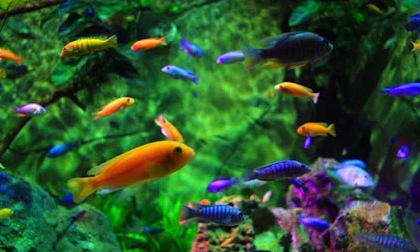 Trong nhà thấy 4 dấu hiệu này hung tinh đeo bám, làm gì cũng bất thành cần tìm cách hóa giải