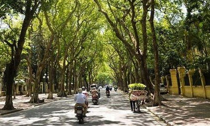 Thời tiết ngày 3/9: Tiếp tục oi nóng ở Bắc Bộ và Trung Bộ