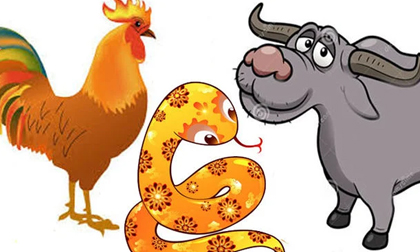 Tử vi tuần mới từ ngày 7-13/9/2020 của 12 con giáp: Tý cẩn trọng sức khỏe, Dậu gặp may liên tiếp