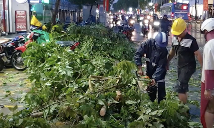 Cây xanh gãy cành đè trúng cặp đôi đi xe máy, cô gái bị thương nặng, bạn trai hoảng loạn kêu cứu