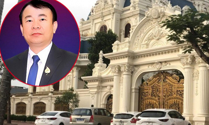 Vụ bắt đại gia xăng dầu Ngô Văn Phát: Lập 14 công ty, trong đó 13 công ty đã ngừng hoạt động