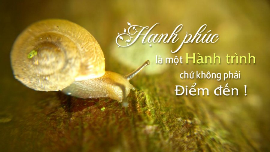 hon nhan