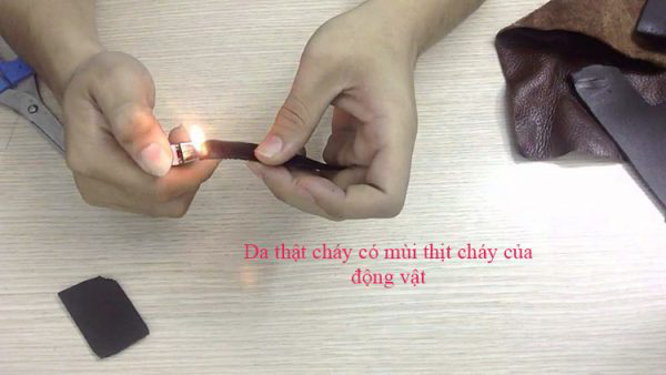 sofa-da-that-119-3-xahoi.com.vn-w600-h338