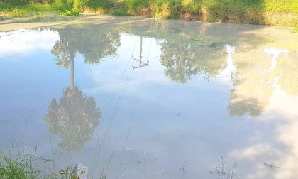 Rủ nhau đi tắm hồ, 5 học sinh chết đuối thương tâm