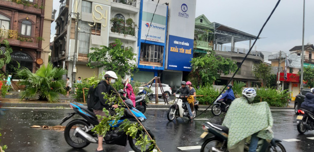 Bão số 5 khiến 23 người bị thương, 1 người đàn ông đi xe máy bị cây đè tử vong - 1