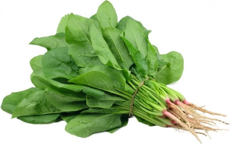 Rau chân vịt giàu dinh dưỡng tốt cho mẹ bầu