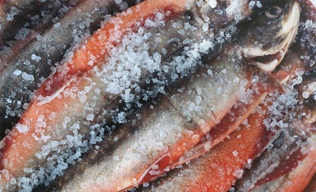 Đồ ăn nhiều muối không tốt cho thận của bé
