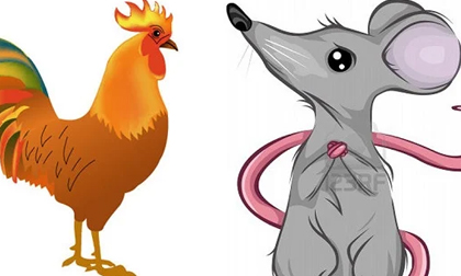 Tử vi thứ Sáu ngày 25/9/2020 của 12 con giáp: Tý gặp rắc rối, Dậu chú ý sức khỏe