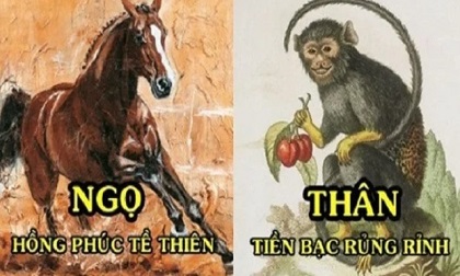 Tử vi tuần mới từ ngày 28/9-4/10/2020 của 12 con giáp: Ngọ phát tài phát lộc, Thân vận trình tình duyên êm đẹp