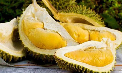 Ăn sầu riêng tránh xa những loại thực phẩm này kẻo ngộ độc, nhập viện tức thì
