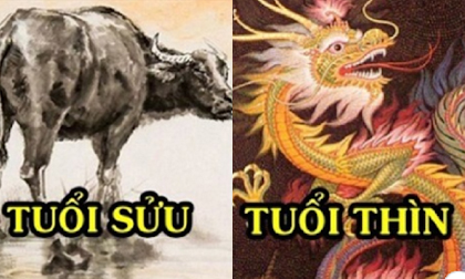 Tử vi tuần mới từ ngày 19/10 đến 25/10/2020 của 12 con giáp: Sửu gặp may mắn, Thìn tài lộc gặp nhiều biến động