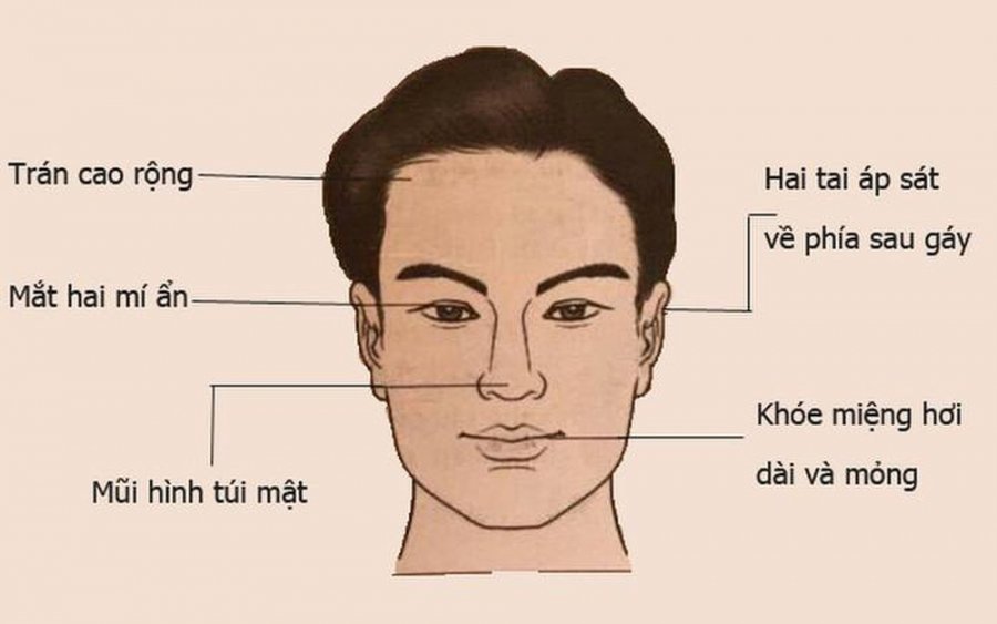 Tướng đàn ông giàu có