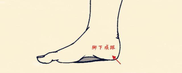 Gót chân mềm và đầy đặn