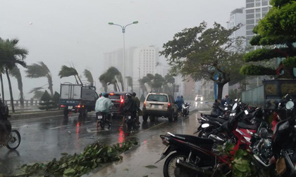 Bão số 12 làm 2 người tử vong, gây nhiều thiệt hại tại các địa phương