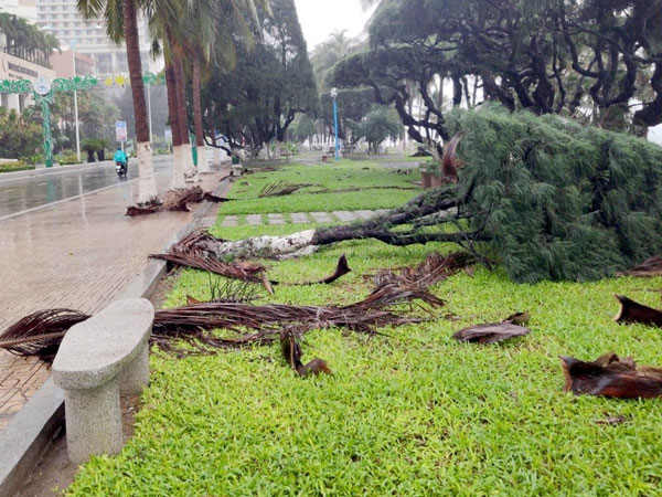 Bão số 12 làm 2 người tử vong, gây nhiều thiệt hại tại các địa phương