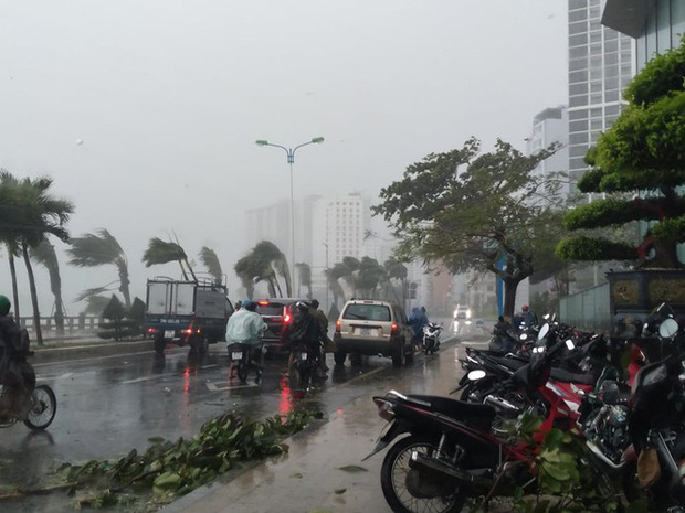 Bão số 12 làm 2 người tử vong, gây nhiều thiệt hại tại các địa phương - 1