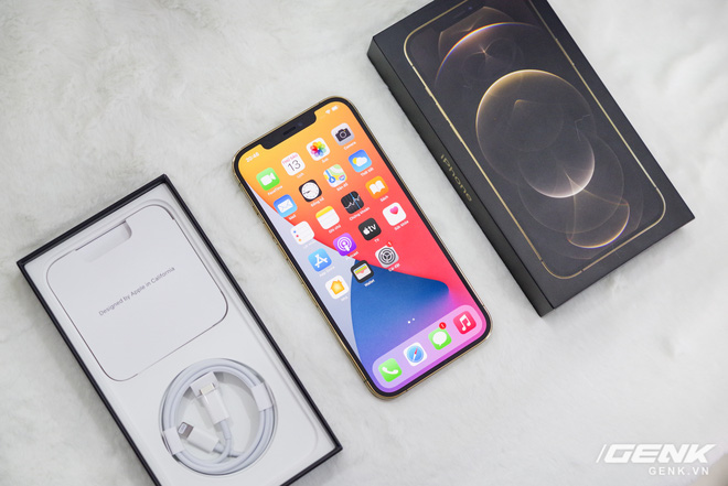 iPhone 12 Pro Max đầu tiên về Việt Nam, giá 53 triệu đồng