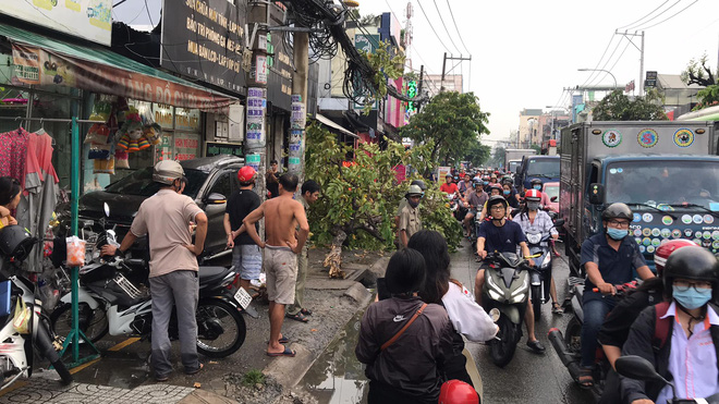 TP.HCM: Ô tô tông nhiều xe máy nằm la liệt, làm gãy cây xanh và khiến cửa hàng bị hư hỏng - 2 TP.HCM: Ô tô tông nhiều xe máy nằm la liệt, làm gãy cây xanh và khiến cửa hàng bị hư hỏng - 2