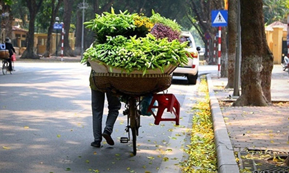 Hà Nội xuống 15 độ C, miền Bắc chìm trong giá rét