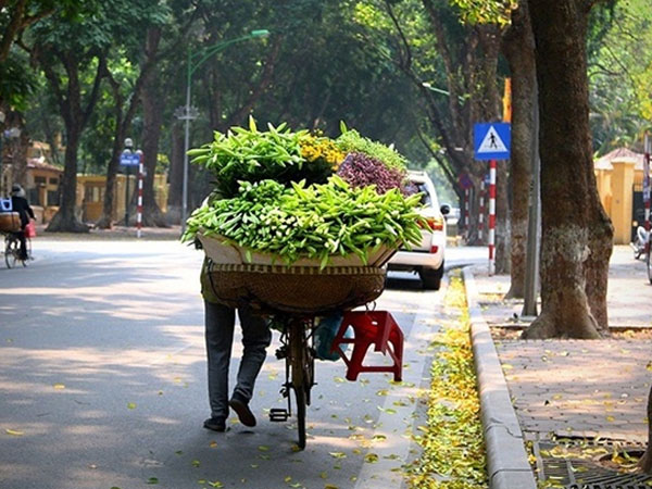 Hà Nội xuống 15 độ C, miền Bắc chìm trong giá rét