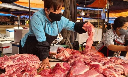 Giá thịt lợn hơi lại bắt đầu tăng trở lại