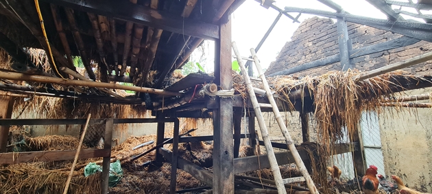 Khởi tố nghịch tử phóng hỏa đốt cả chuồng gia súc vì bị mẹ mắng - 1