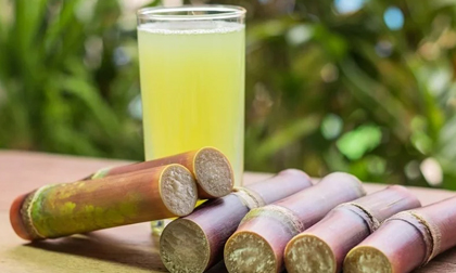 Những loại nước giúp tăng ối cho mẹ bầu, an thai, con khỏe mạnh lớn nhanh trong bụng