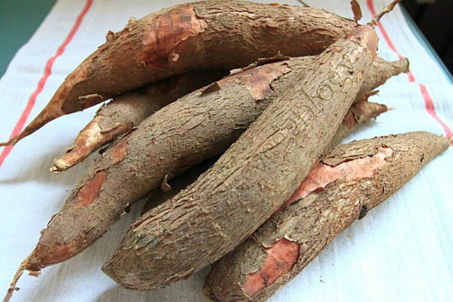 Từ vụ trẻ tử vong do ngộ độc sắn: Khi ăn sắn đừng để mất mạng vì thiếu hiểu biết!