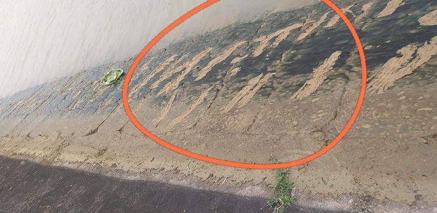 Vớt được thi thể học sinh lớp 3 sau 3 ngày tìm kiếm, vết cào tuyệt vọng ở bờ sông khiến ai cũng nhói lòng - 1