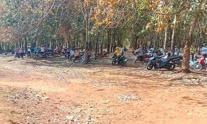 Vụ cô gái tử vong với vết thương trên ngực tại Bình Phước: Hung thủ là bạn trai của nạn nhân