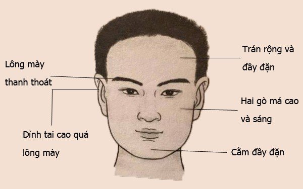 Tướng đàn ông tự tin