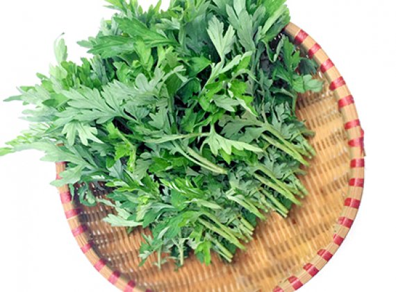 Rau ngải cứu không tốt cho sức khỏe
