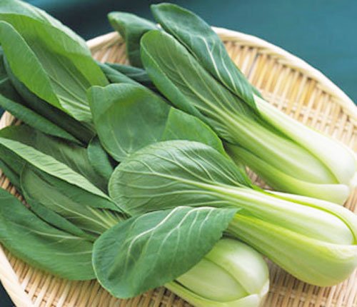 Rau cải thìa giàu canxi tốt cho bé