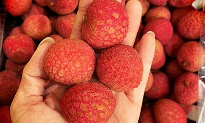 5 loại trái cây bị cho vào 'danh sách đen' rất hại sức khỏe, người thông minh không bao giờ ăn