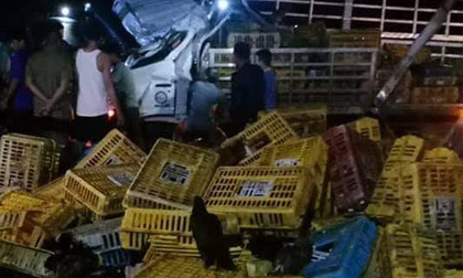 Xe tải lật trong đêm, 2 người chết, 1 người bị thương nặng