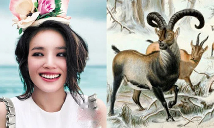 3 con giáp nữ này luôn được Thần Phật phù trợ, lại sống lương thiện nên rất có hậu, hồng phúc tề thiên