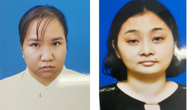 Hà Nội: Bác sỹ chuyên khoa sản tham gia đường dây tổ chức mang thai hộ vì mục đích thương mại - Ảnh 1.