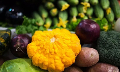 Loại thực phẩm nào ngăn ngừa sự hình thành các tế bào ung thư?
