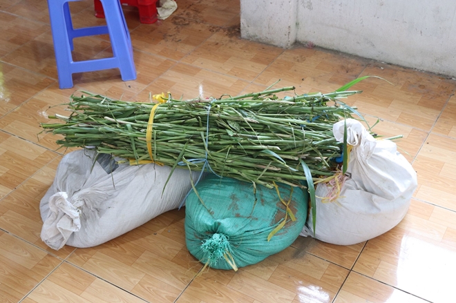 Vụ đám tang giả ở Sóc Trăng: Bà Trần Thị Tuyến nhiều lần thay đổi lời khai - Ảnh 3.