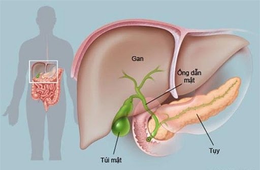 Ảnh minh họa Internet