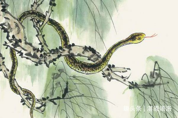 Tuổi Tỵ phát tài trong hai năm tới