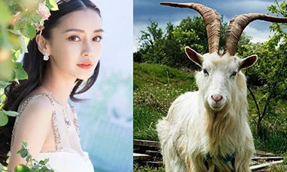 Tháng 5 Âm lịch, 3 con giáp làm gì cũng thuận lợi, tài lộc dồi dào, tiền đếm mỏi tay không hết